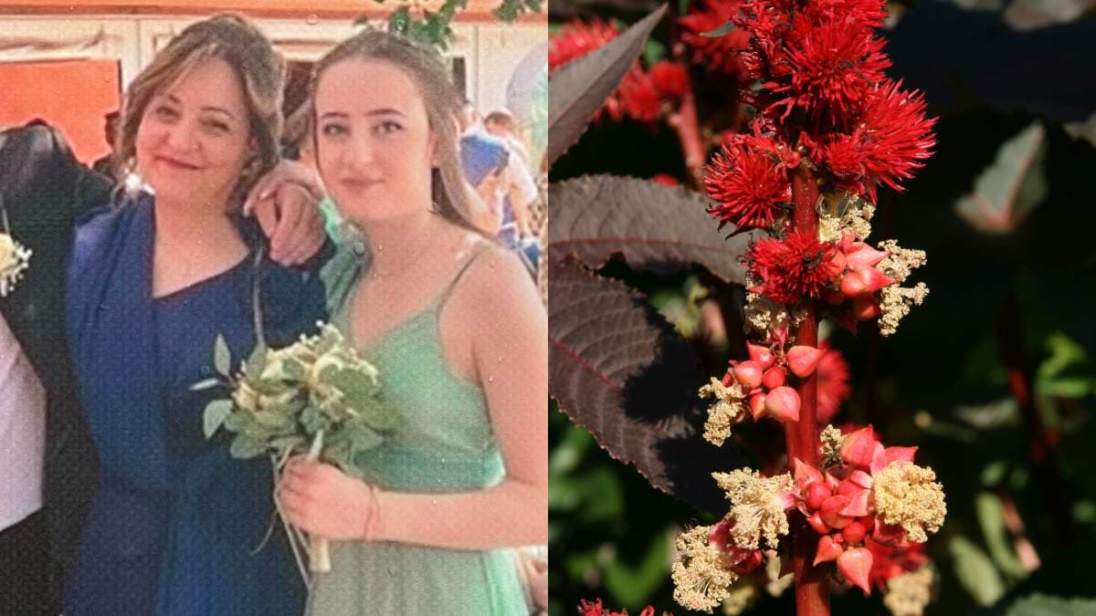 La ricina dell’omicidio di Pietracatella «forse era sciolta nell’acqua». La storia delle flebo e i surgelati