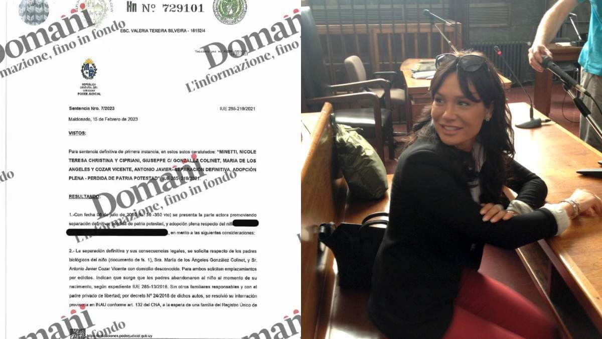Minetti, Domani smonta l’inchiesta del Fatto Quotidiano: ecco la sentenza integrale di adozione