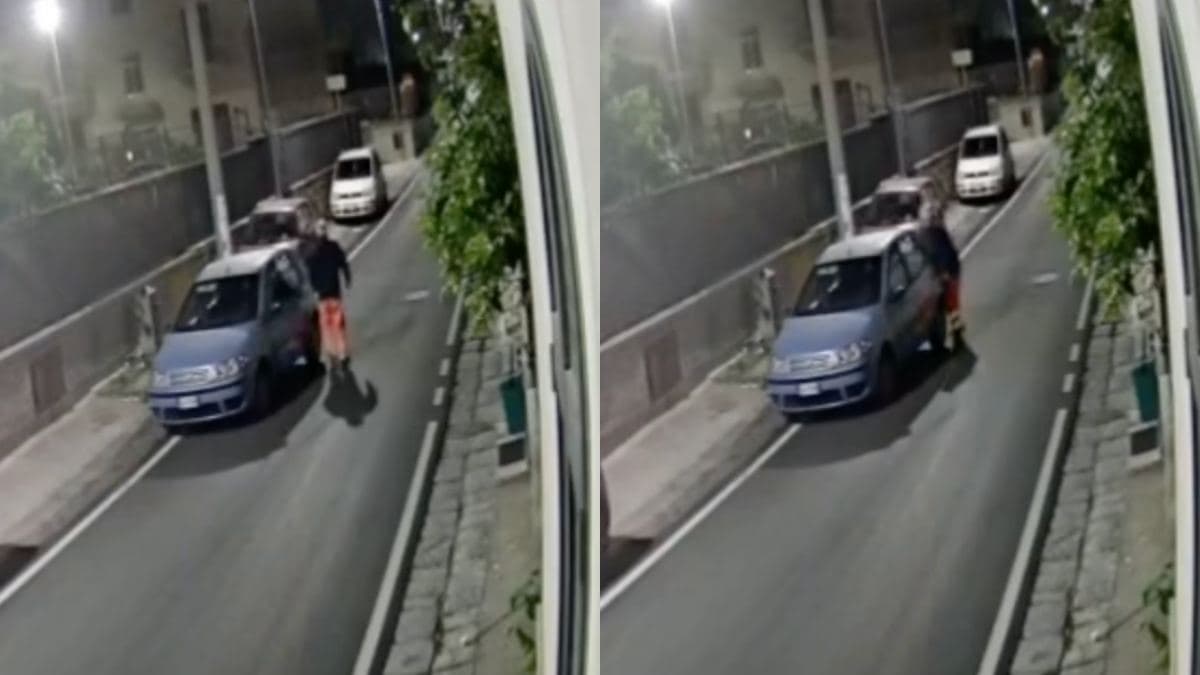 Abbandonò la cagnolina per strada, non sapeva di essere inquadrato. L’incidente e la corsa dal veterinario: cosa rischia con la nuova legge – Il video
