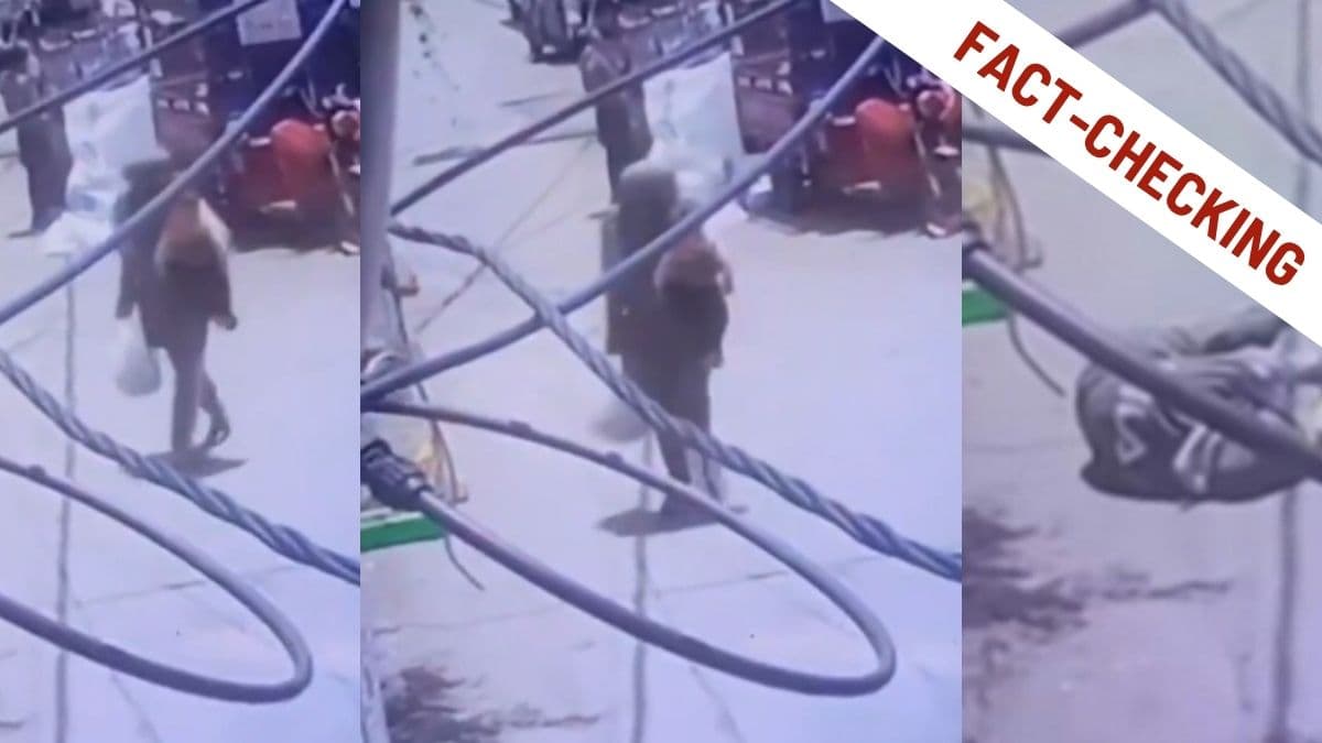 Gaza, la verità sul video della madre uccisa col bambino: non sono stati i militari israeliani